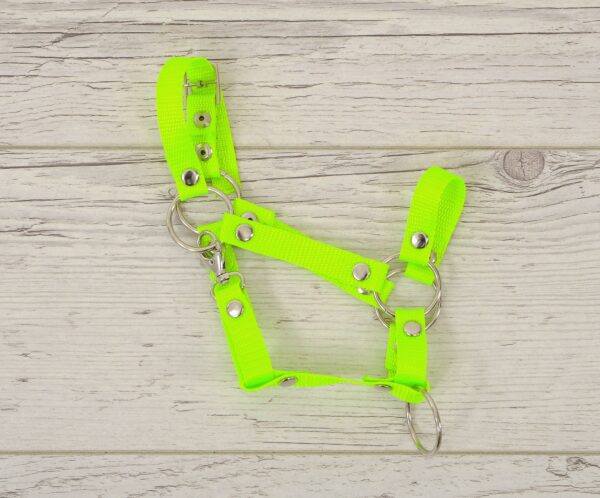 Kantar regulowany dla konia Hobby Horse A3 - neon green - obrazek 4