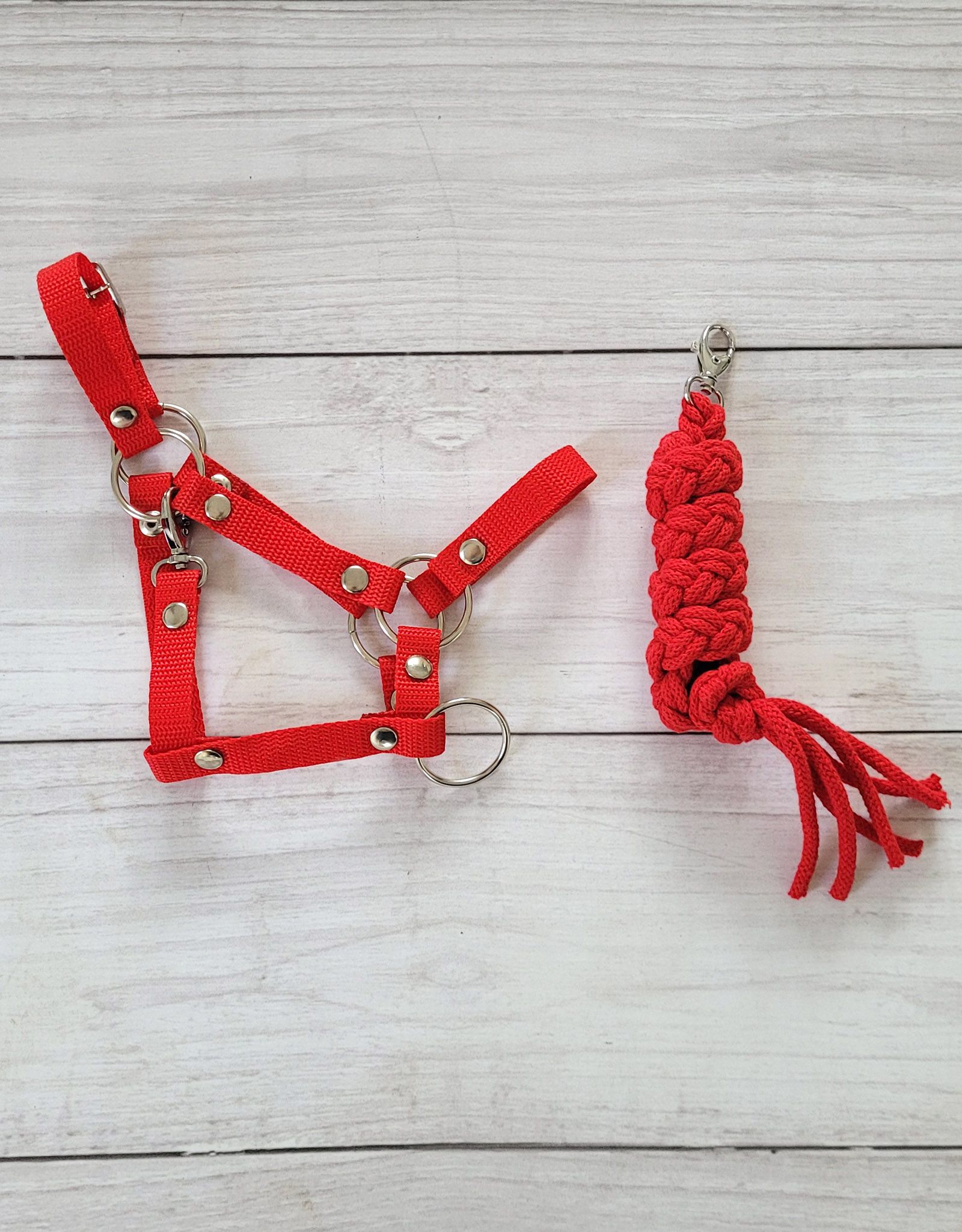 Zestaw do Hobby Horse: kantar A3 + uwiąz ze sznurka - czerwony - obrazek 3