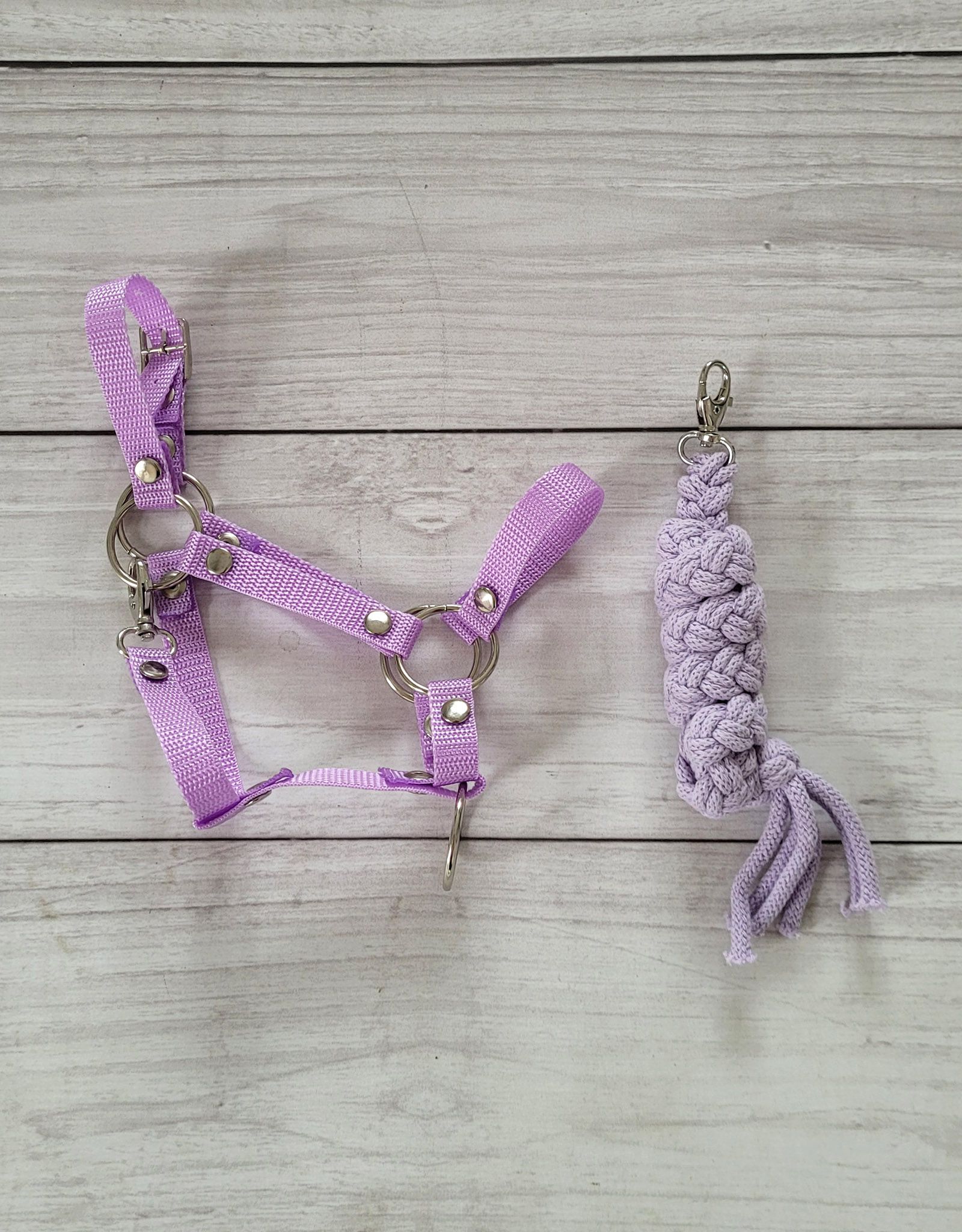 Zestaw do Hobby Horse: kantar A3 + uwiąz ze sznurka - fioletowy - obrazek 3