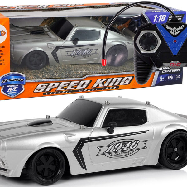 Auto Sportowe R/C 1:18 Srebrne Champion Pilot